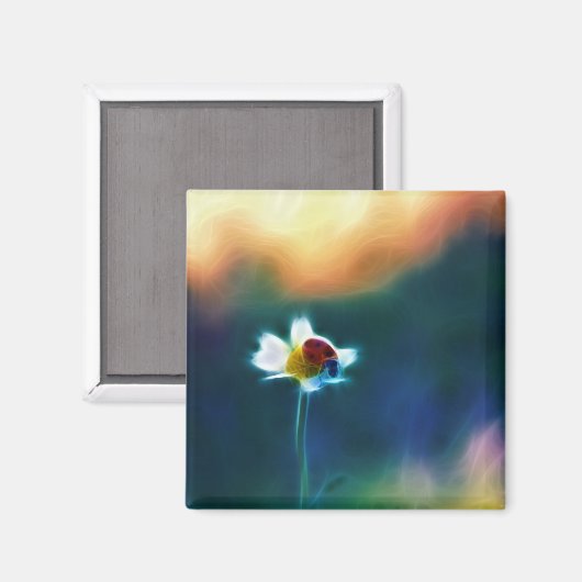 Daisybug Magneet (Voorkant / Achterkant)