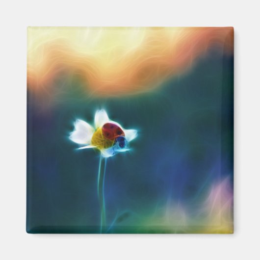 Daisybug Magneet (Voorkant)