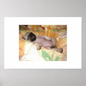 Daizzzzzy Poster (Voorkant)