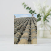 dak briefkaart (Staand voorkant)