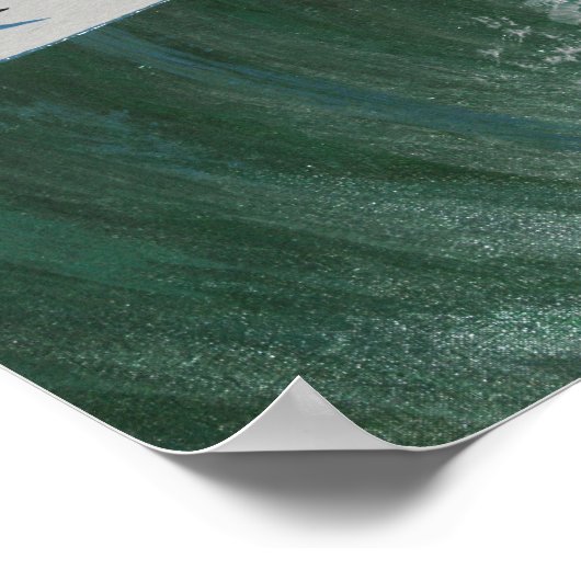 Dakbedekking Poster (Hoek)