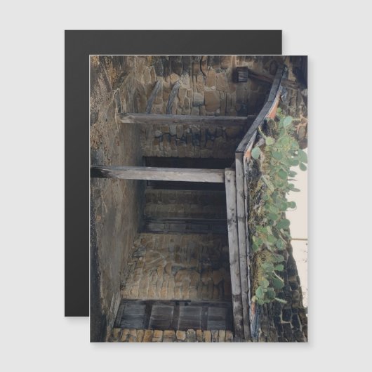 Dakcactus magneet (Voorkant / Achterkant)