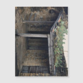 Dakcactus magneet (Voorkant)