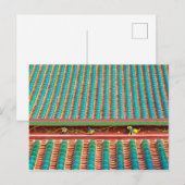 Dakdetail van South Putuo-tempel Briefkaart (Voorkant / Achterkant)