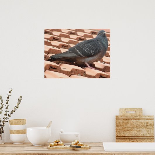 Dakduif afdrukken poster (Keuken)