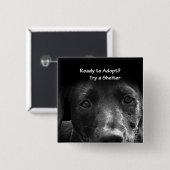 Dakloze hond adoptieknop hond vierkante button 5,1 cm (Voorkant /achterkant)
