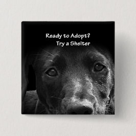 Dakloze hond adoptieknop hond vierkante button 5,1 cm