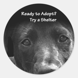 Dakloze Huisdier adoptie stickers Hond