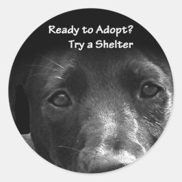 Dakloze Huisdier adoptie stickers Hond