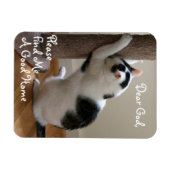 Dakloze Kat's Gebed - Magneet (Horizontaal)