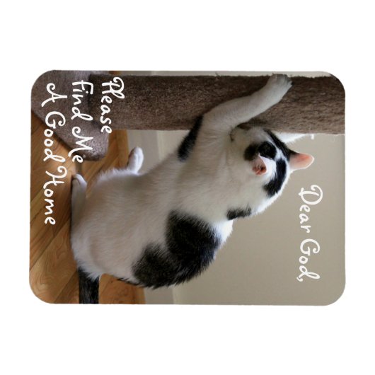 Dakloze Kat's Gebed - Magneet (Horizontaal)