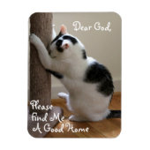 Dakloze Kat's Gebed - Magneet (Verticaal)