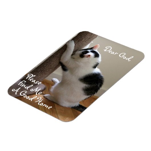 Dakloze Kat's Gebed - Magneet (Linkerzijde)