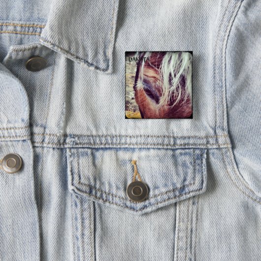 Dakota Deluxe Edition Button (In situ)