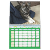 Dakota, Gizmo en Vrienden. Kalender (Mar 2027)