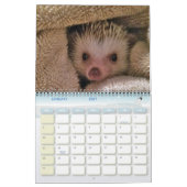 Dakota, Gizmo en Vrienden. Kalender (Jan 2027)