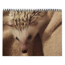 Dakota, Gizmo en Vrienden.