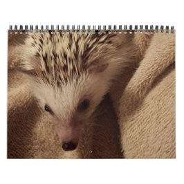 Dakota, Gizmo en Vrienden. Kalender