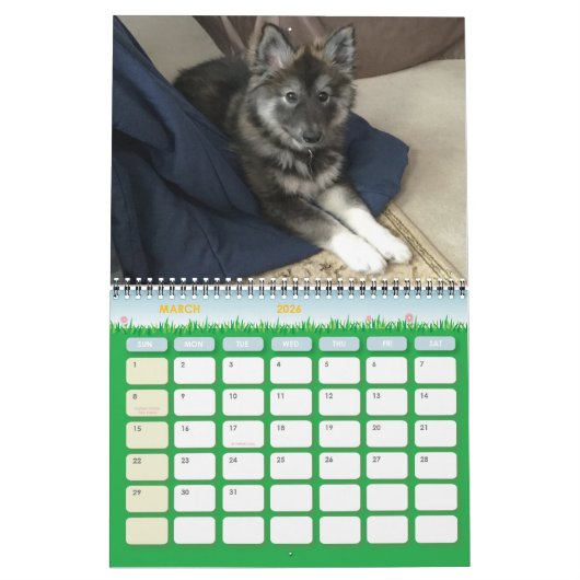 Dakota, Gizmo en Vrienden. Kalender (Mar 2026)