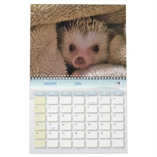 Dakota, Gizmo en Vrienden. Kalender (Jan 2026)