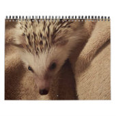 Dakota, Gizmo en Vrienden. Kalender (Hoes)