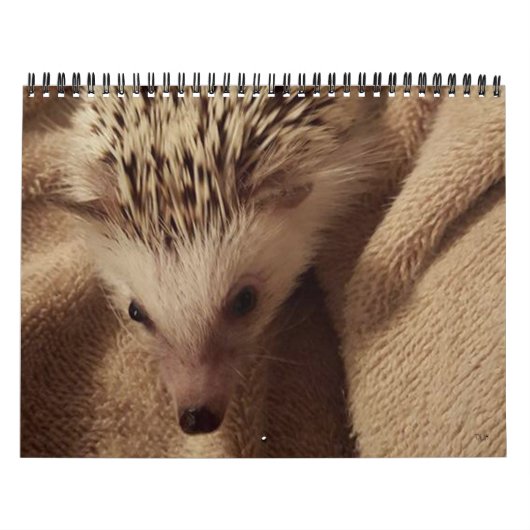 Dakota, Gizmo en Vrienden. Kalender (Hoes)