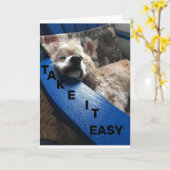 DAKOTA ZEGT: "DOE RUSTIG AAN, JE BENT 40" KAART (Gele Bloem)