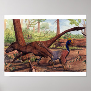 Dakotaraptor Print