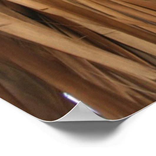 dakpatroon met bruine schijfjes poster (Hoek)