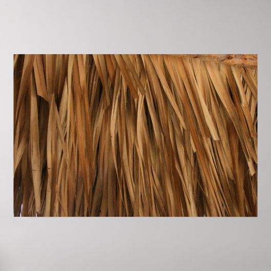 dakpatroon met bruine schijfjes poster (Voorkant)