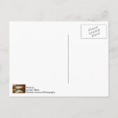 Dakramen boven Anthony-ansichtkaart Briefkaart (Achterkant)