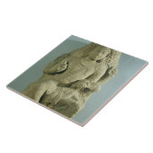 Dakshinamurti, Tamil Nadu, Pallava dynasty (granit Tegeltje (Zijkant)