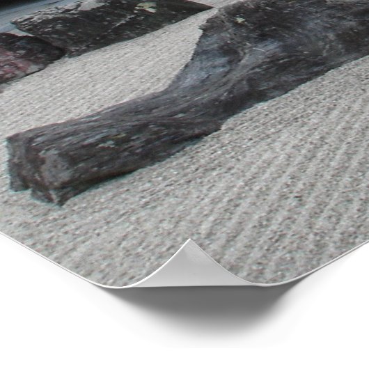 Dalai Gaga Poster (Hoek)