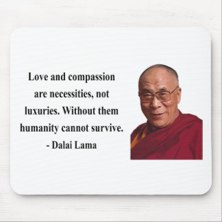 dalai lama citaat 8b muismat