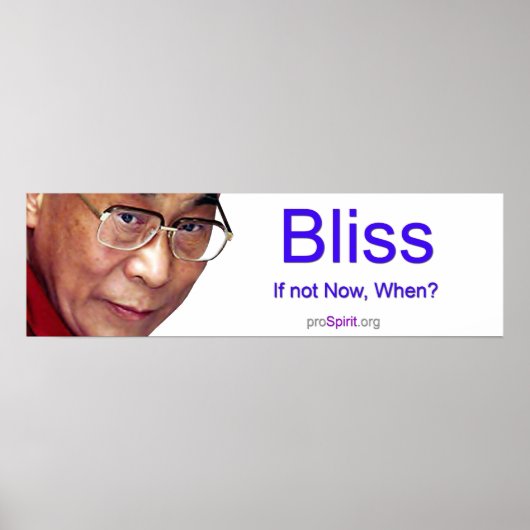 Dalai Lama - Verlichting Poster (Voorkant)