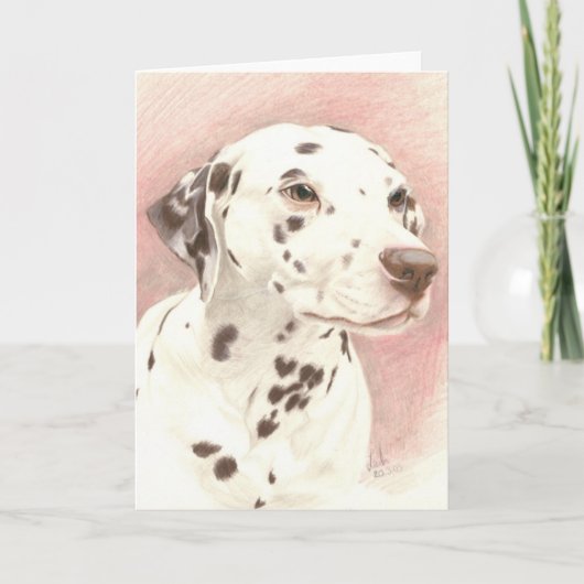 Dalamatiër in kleurpotlood kaart (Voorkant)