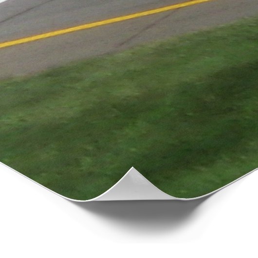 Dale Jr bij MIS Poster (Hoek)