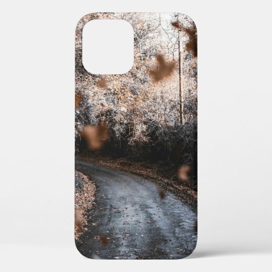 DALENDE GEDROOGDE LICHTEN Case-Mate iPhone CASE (Achterkant)