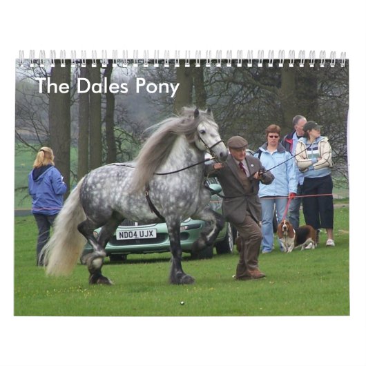 Dales Pony Agenda Kalender (Hoes)