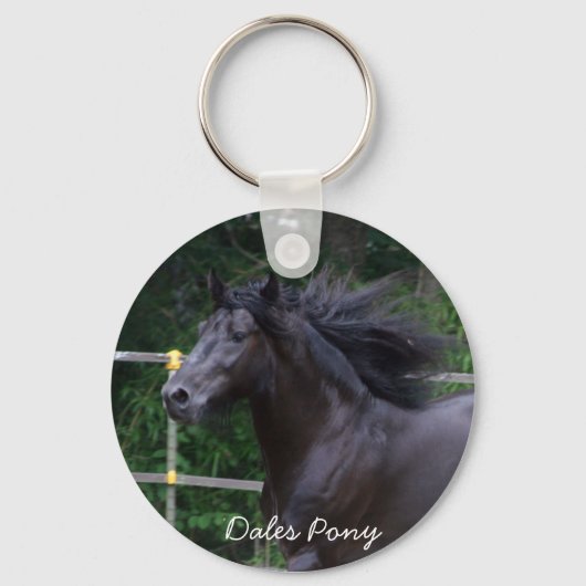 Dales Pony head sleutelhanger (Voorkant)