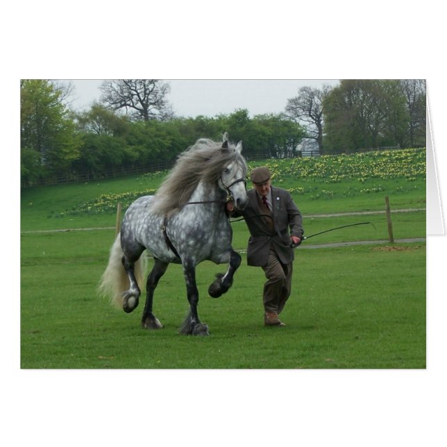 Dales Pony-kaart (Voorkant Horizontaal)