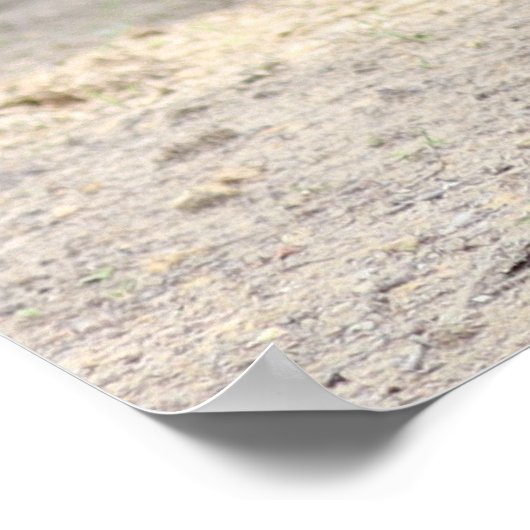 Dales Pony poster (Hoek)