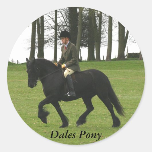 Dales Pony Sticker (Voorkant)