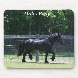 Dales Pony Trot Muismat