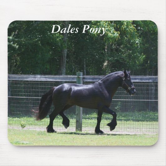 Dales Pony Trot Muismat (Voorkant)