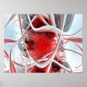 Dalia 5 (scr) poster (Voorkant)