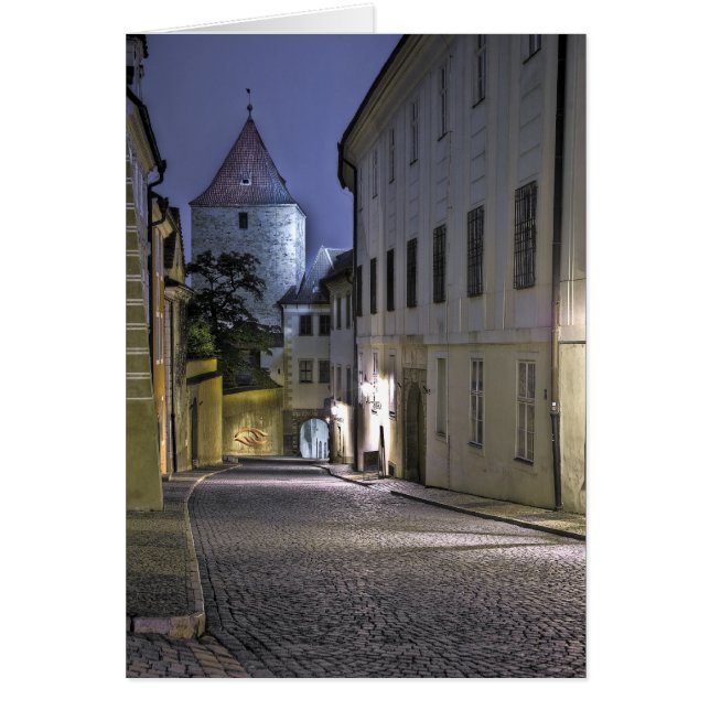 Dalibor Tower Prague Castle (Voorkant)
