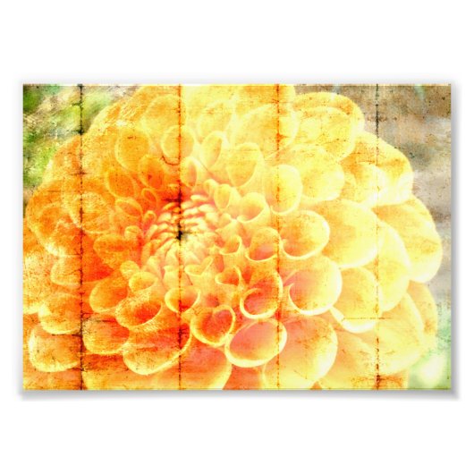 Dalie  foto afdruk (Voorkant)