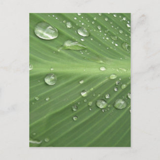 Daling door Drop Briefkaart