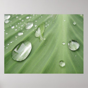 Daling door Drop Poster